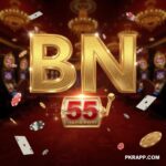 BN55