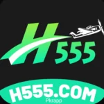 h555 game