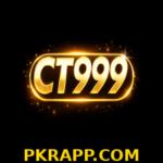 ct999 game