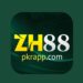 zh88 game
