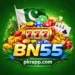 bn55 game
