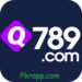 q789 game
