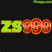 Zs999 app